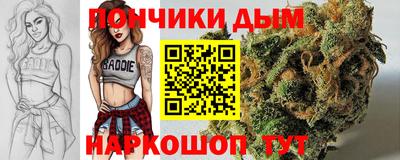 прущие грибы Краснокаменск